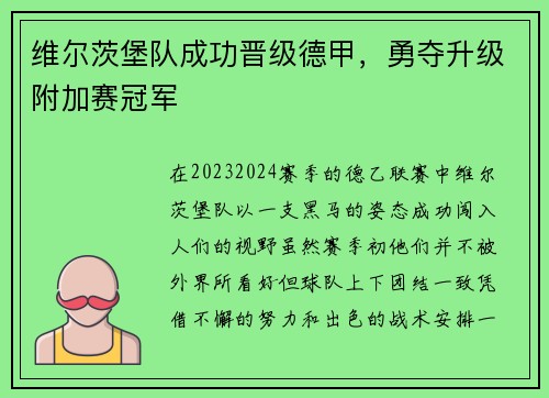 维尔茨堡队成功晋级德甲，勇夺升级附加赛冠军