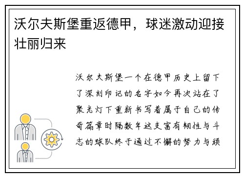 沃尔夫斯堡重返德甲，球迷激动迎接壮丽归来